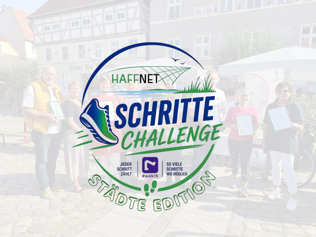 HaffNet-Schritte-Challenge – Städte Edition